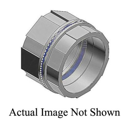 T&B® H200BHD Conduit Bulkhead Fitting With Thermoplastic Insulated Throat, 2 in, For Use With IMC/Rigid Conduits, Zinc